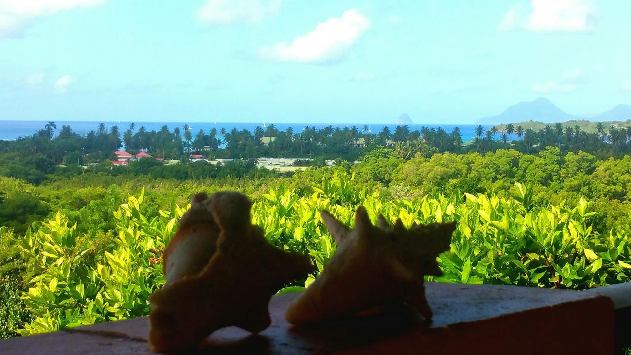 Studios Carribean Sea View Sainte-Anne Extérieur photo